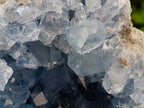 Natural Blue Celestite Geode Specimen x 1 From Sakoany, Madagascar