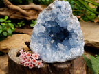 Natural Blue Celestite Geode Specimen x 1 From Sakoany, Madagascar
