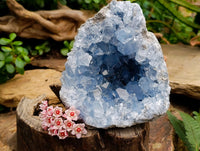 Natural Blue Celestite Geode Specimen x 1 From Sakoany, Madagascar