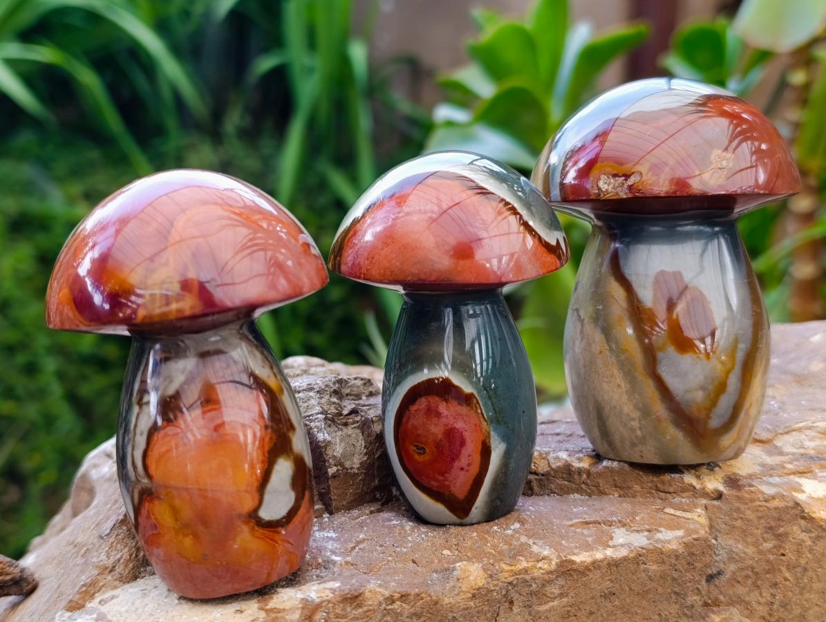 Polished Polychrome Jasper Mushrooms x 6 From NW Coast, Madagascar
