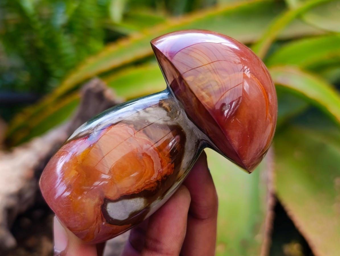 Polished Polychrome Jasper Mushrooms x 6 From NW Coast, Madagascar