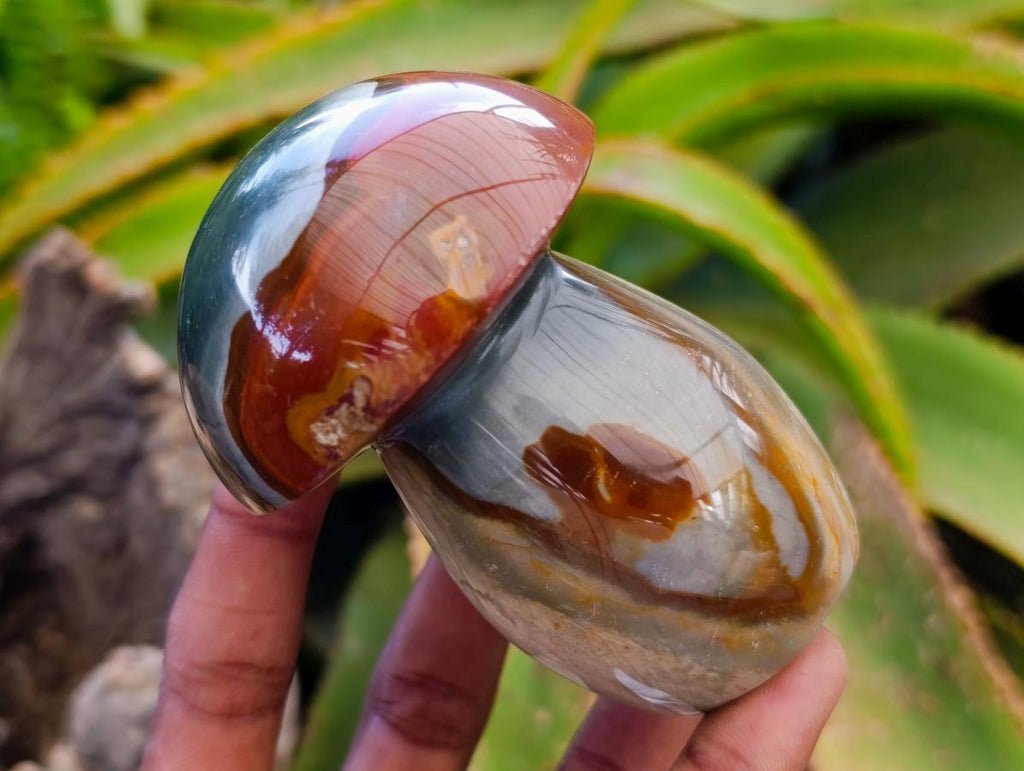 Polished Polychrome Jasper Mushrooms x 6 From NW Coast, Madagascar