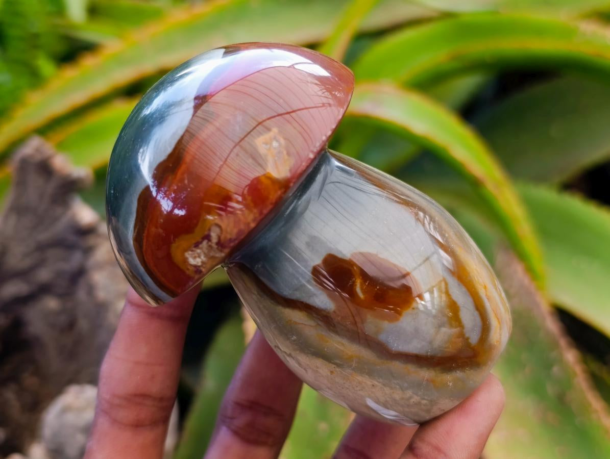 Polished Polychrome Jasper Mushrooms x 6 From NW Coast, Madagascar