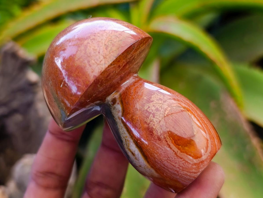 Polished Polychrome Jasper Mushrooms x 6 From NW Coast, Madagascar