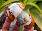 Polished Polychrome Jasper Mushrooms x 6 From NW Coast, Madagascar