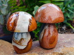 Polished Polychrome Jasper Mushrooms x 6 From NW Coast, Madagascar
