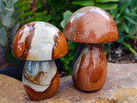 Polished Polychrome Jasper Mushrooms x 6 From NW Coast, Madagascar