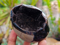 Polished Septerye Sauvage "Dragons Egg" Geodes x 3 From Mahajanga, Madagascar