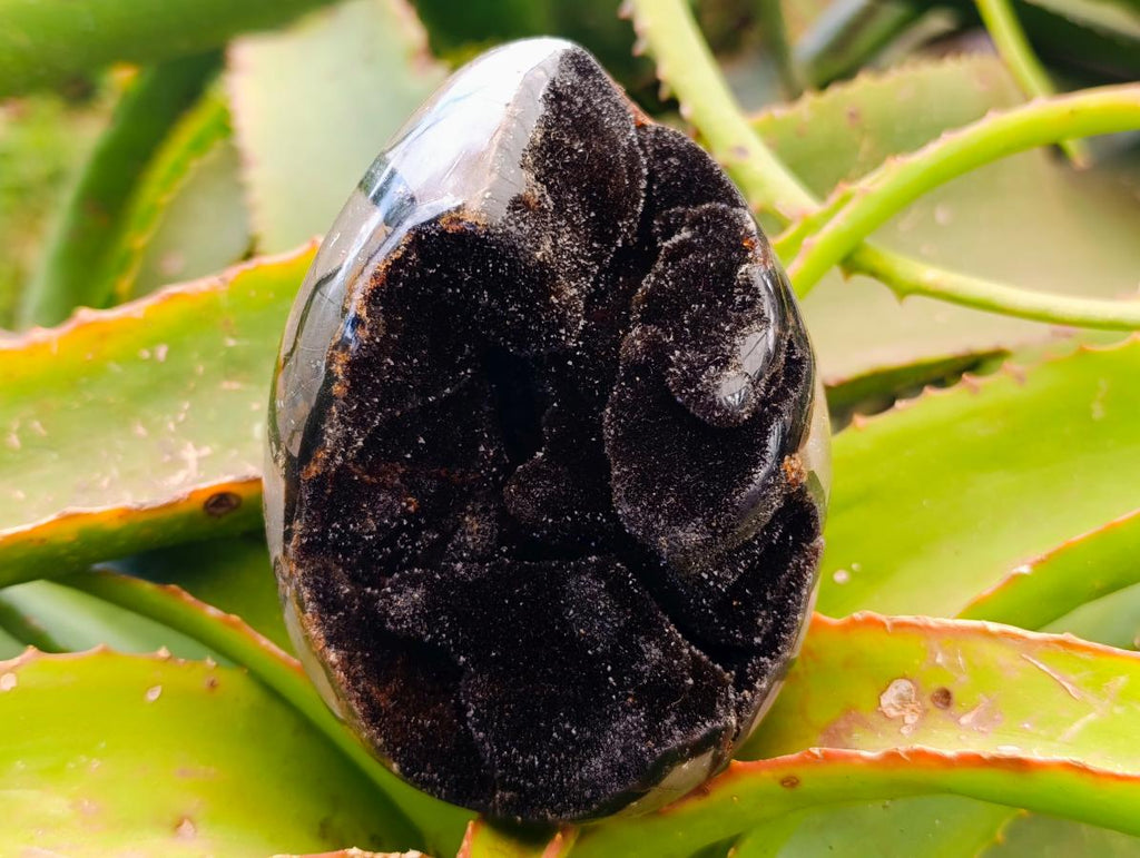 Polished Septerye Sauvage "Dragons Egg" Geodes x 3 From Mahajanga, Madagascar