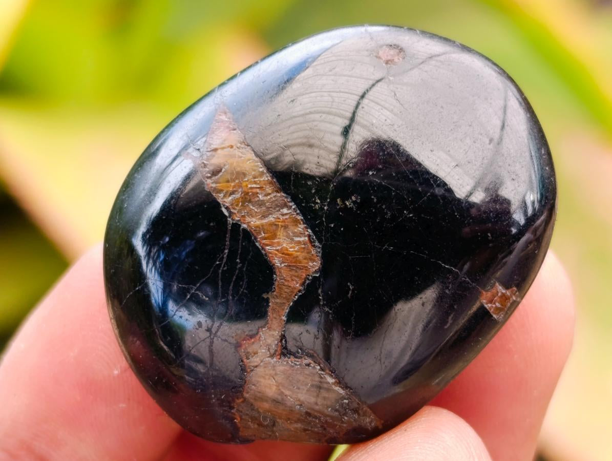Polished Black Tourmaline Galets x 35 From Madagascar