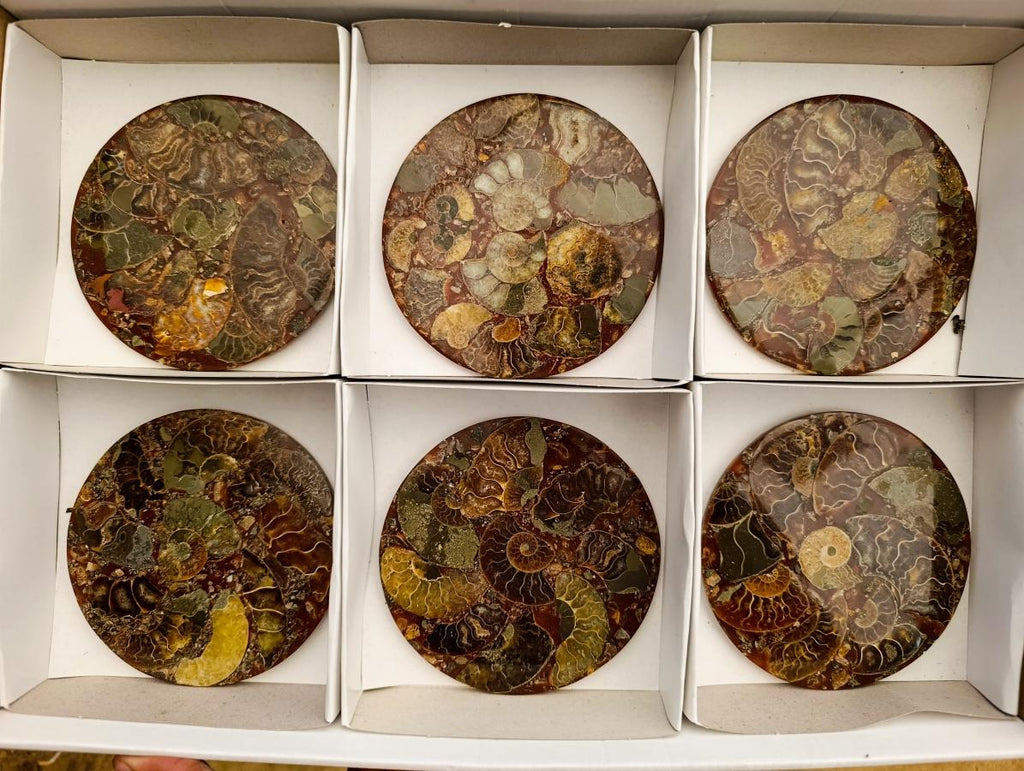 Hand Made Ammonite Conglomerate Coffee Table Coasters x 6 From Mahajanga, Madagascar - Toprock Gemstones and Minerals 