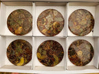 Hand Made Ammonite Conglomerate Coffee Table Coasters x 6 From Mahajanga, Madagascar - Toprock Gemstones and Minerals 