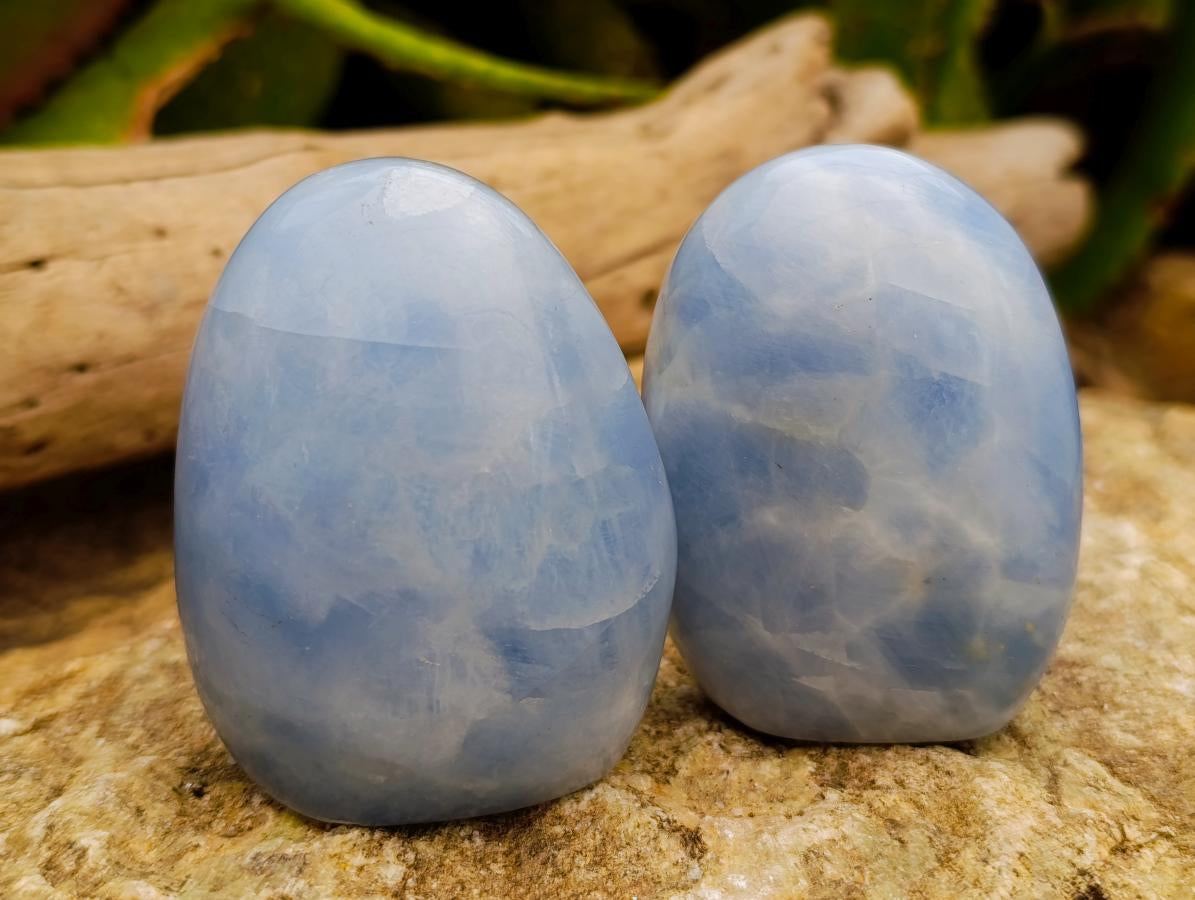 Polished Blue Calcite Standing Free Forms x 6 From Madagascar