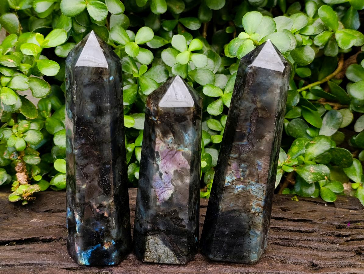 Polished Labradorite Display Crystals x 3 From Madagascar