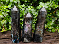 Polished Labradorite Display Crystals x 3 From Madagascar