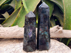 Polished Labradorite Display Crystals x 3 From Madagascar