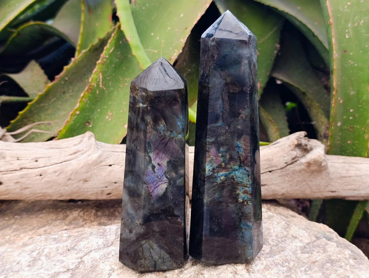 Polished Labradorite Display Crystals x 3 From Madagascar