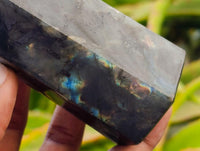 Polished Labradorite Display Crystals x 3 From Madagascar