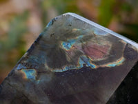 Polished Labradorite Display Crystals x 3 From Madagascar