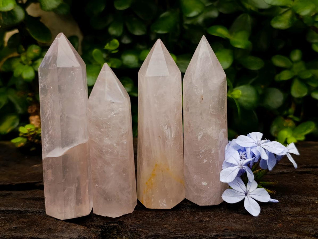 Polished Gemmy Rose Quartz Crystals x 12 From Madagascar