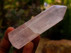Polished Gemmy Rose Quartz Crystals x 12 From Madagascar