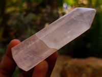Polished Gemmy Rose Quartz Crystals x 12 From Madagascar