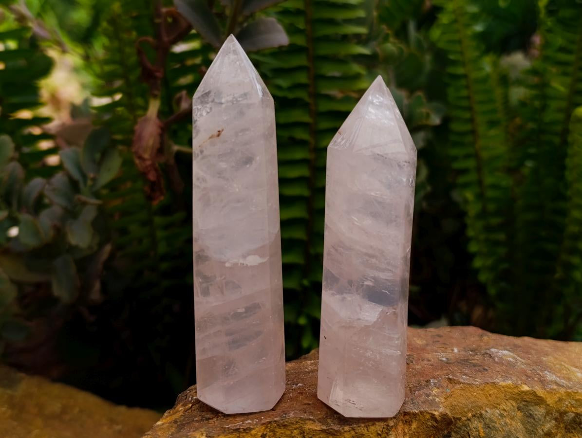Polished Gemmy Rose Quartz Crystals x 12 From Madagascar