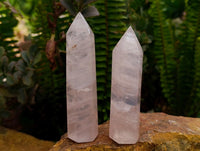 Polished Gemmy Rose Quartz Crystals x 12 From Madagascar