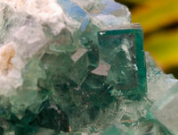 Natural Cubic Green Fluorite Cluster Specimens x 3 From Mandrosonoro, Madagascar