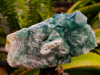 Natural Cubic Green Fluorite Cluster Specimens x 3 From Mandrosonoro, Madagascar