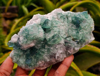 Natural Cubic Green Fluorite Cluster Specimens x 3 From Mandrosonoro, Madagascar