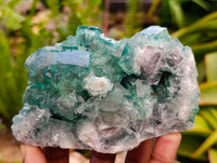 Natural Cubic Green Fluorite Cluster Specimens x 3 From Mandrosonoro, Madagascar