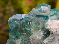 Natural Cubic Green Fluorite Cluster Specimens x 3 From Mandrosonoro, Madagascar