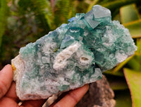 Natural Cubic Green Fluorite Cluster Specimens x 3 From Mandrosonoro, Madagascar