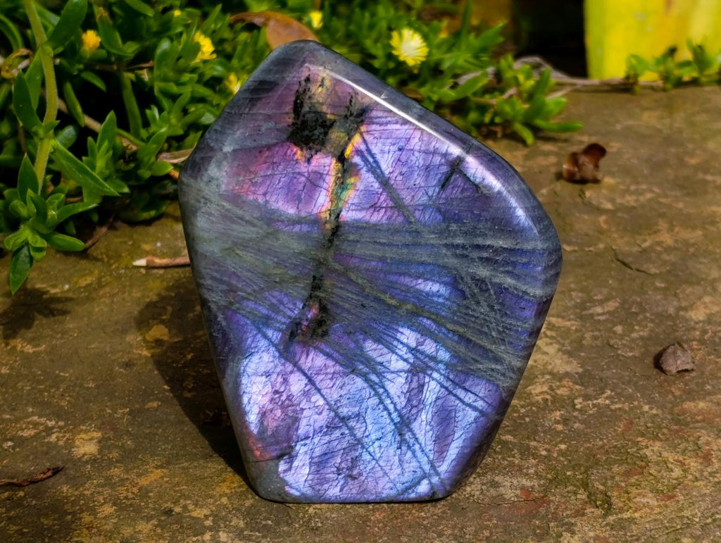 Polished Rare Purple Sunset Flash Labradorite Standing Free Forms x 2 From Madagascar