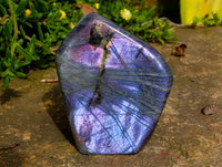Polished Rare Purple Sunset Flash Labradorite Standing Free Forms x 2 From Madagascar