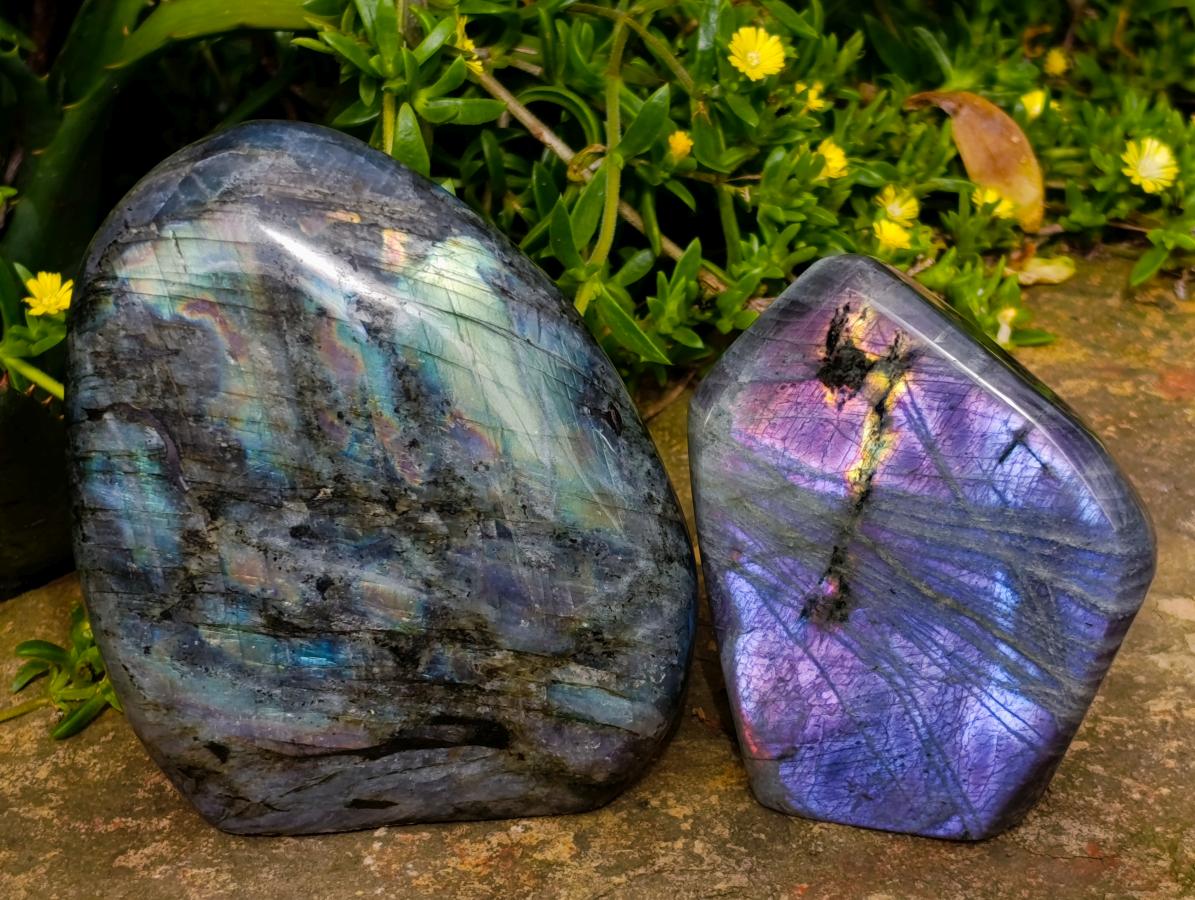 Polished Rare Purple Sunset Flash Labradorite Standing Free Forms x 2 From Madagascar
