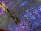 Polished Rare Purple Sunset Flash Labradorite Standing Free Forms x 2 From Madagascar