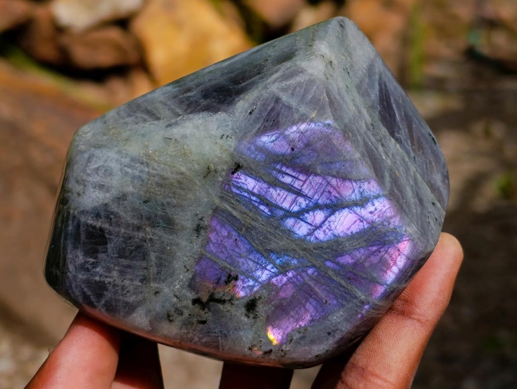 Polished Rare Purple Sunset Flash Labradorite Standing Free Forms x 2 From Madagascar
