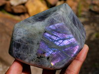 Polished Rare Purple Sunset Flash Labradorite Standing Free Forms x 2 From Madagascar