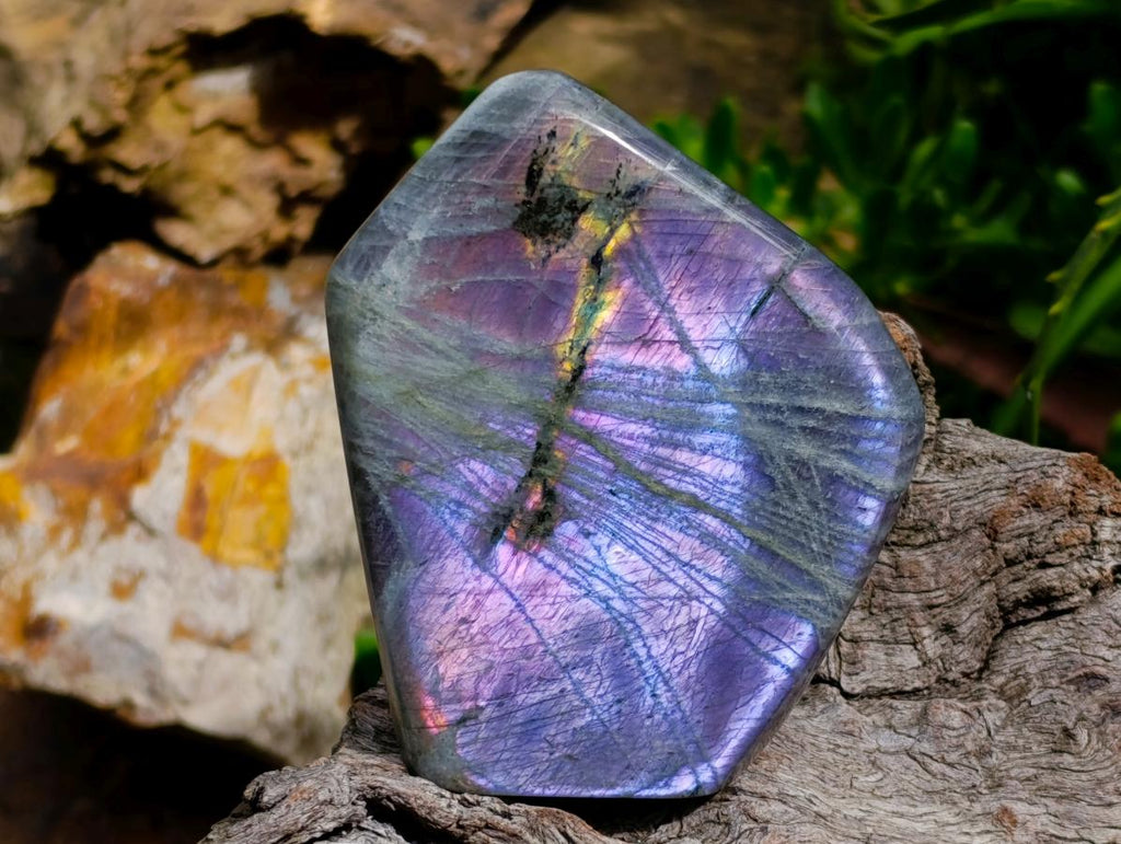 Polished Rare Purple Sunset Flash Labradorite Standing Free Forms x 2 From Madagascar