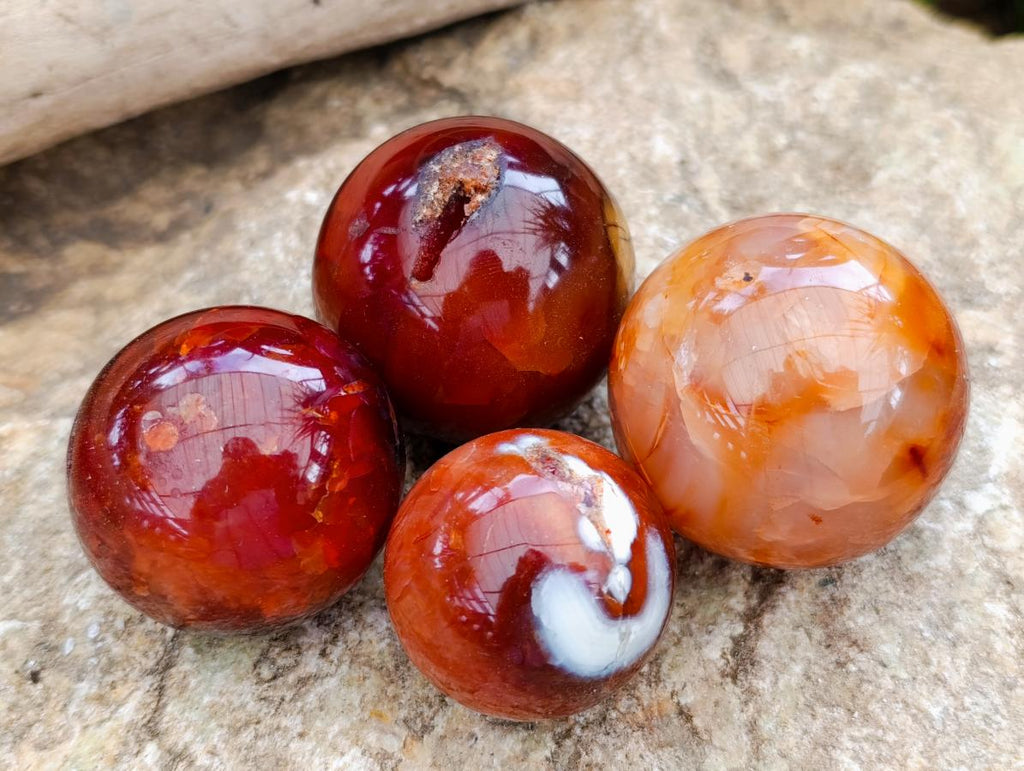 Polished Carnelian Agate Gemstone Spheres x 12 From Madagascar