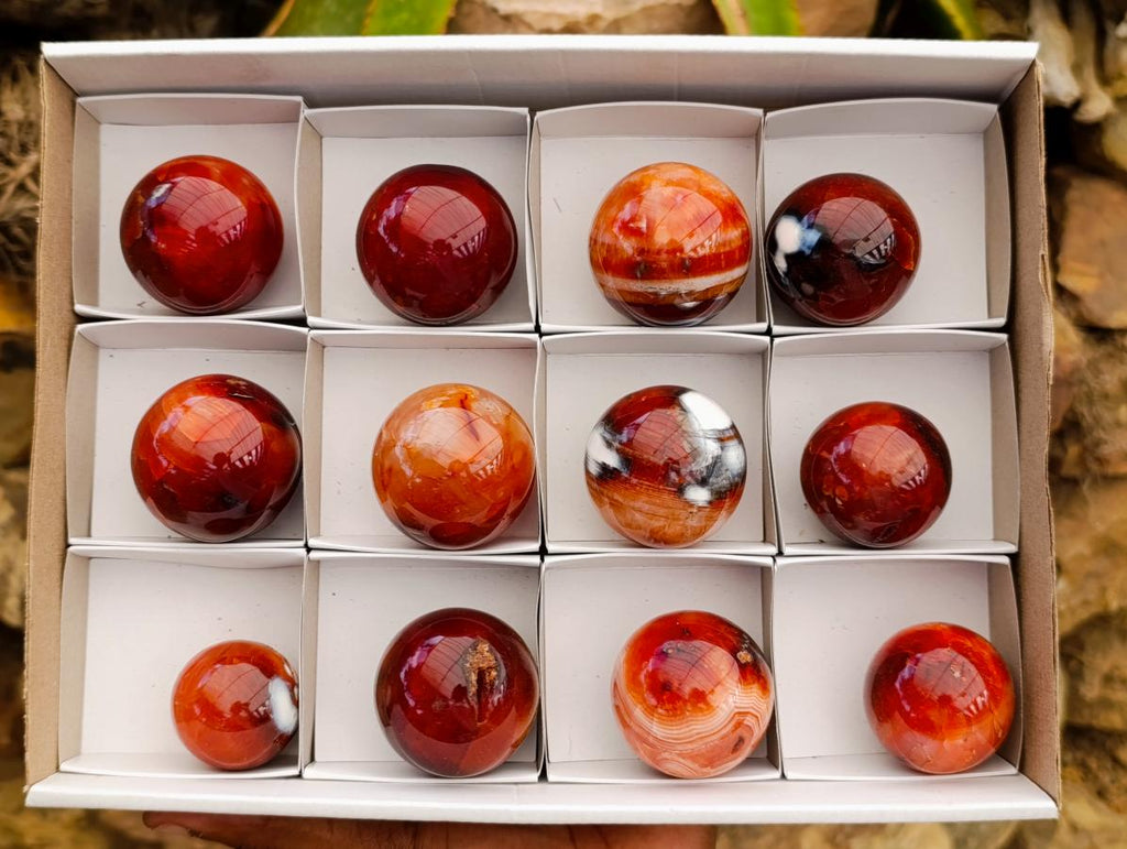 Polished Carnelian Agate Gemstone Spheres x 12 From Madagascar