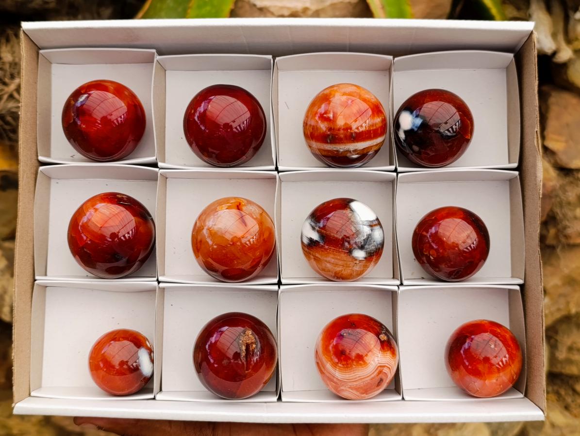Polished Carnelian Agate Gemstone Spheres x 12 From Madagascar
