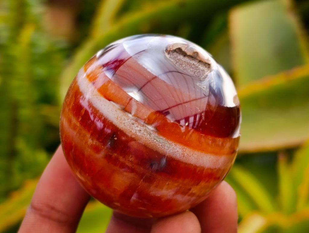 Polished Carnelian Agate Gemstone Spheres x 12 From Madagascar