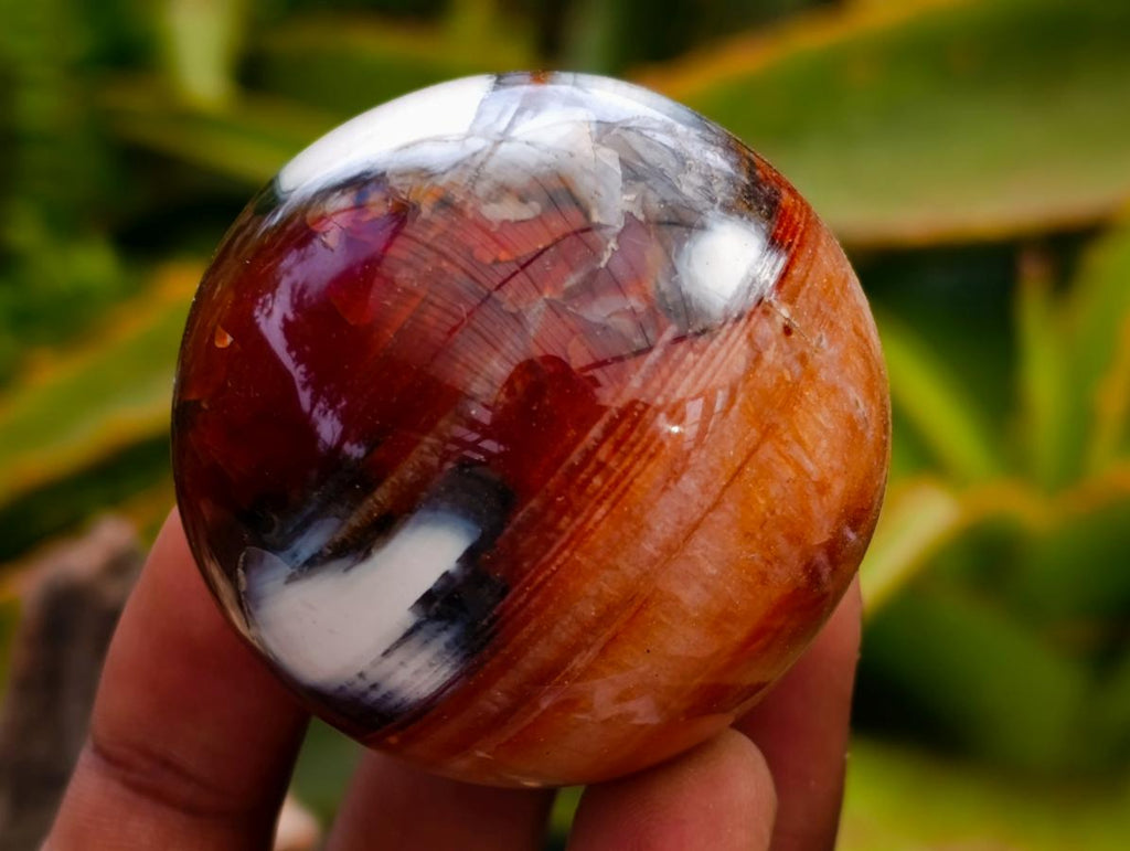 Polished Carnelian Agate Gemstone Spheres x 12 From Madagascar