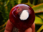 Polished Carnelian Agate Gemstone Spheres x 12 From Madagascar