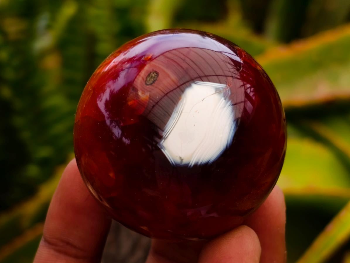 Polished Carnelian Agate Gemstone Spheres x 12 From Madagascar