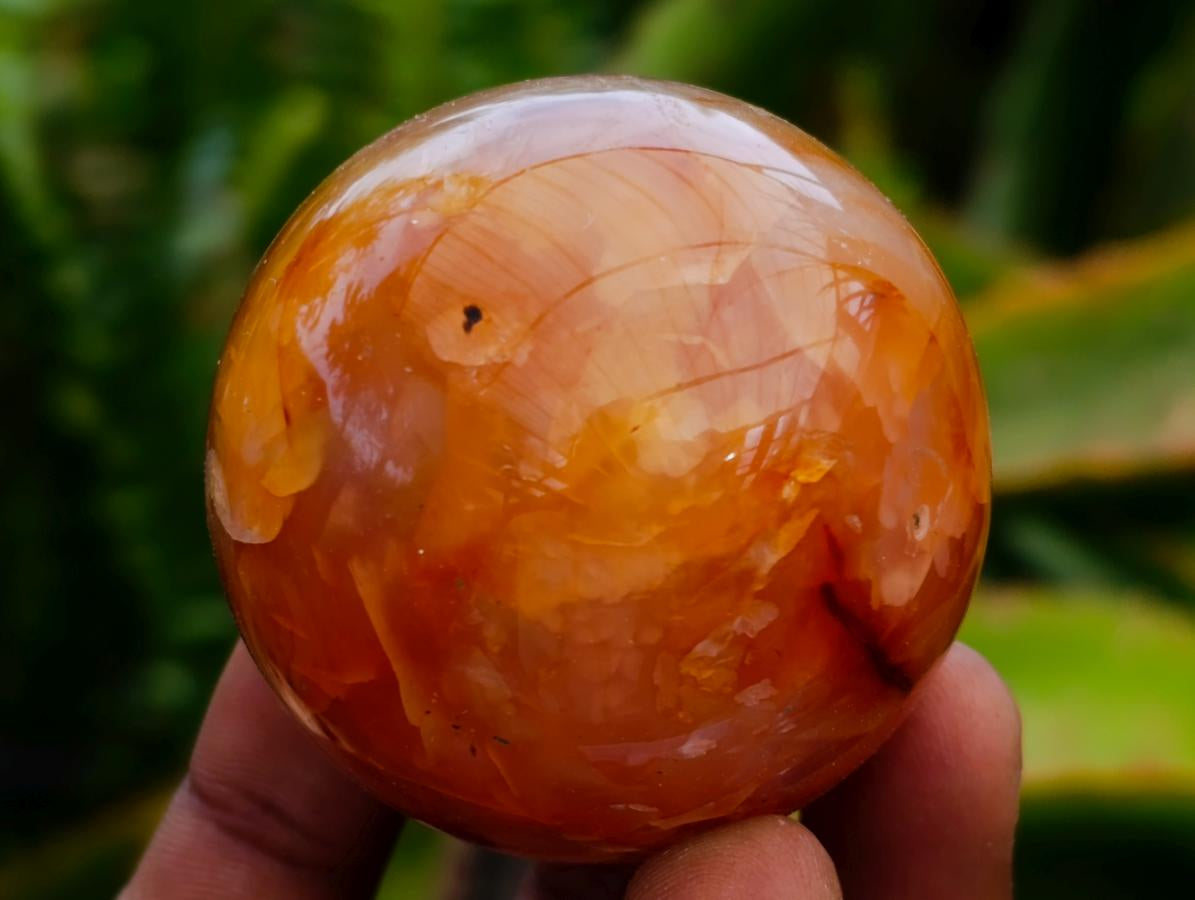 Polished Carnelian Agate Gemstone Spheres x 12 From Madagascar