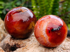 Polished Carnelian Agate Gemstone Spheres x 12 From Madagascar